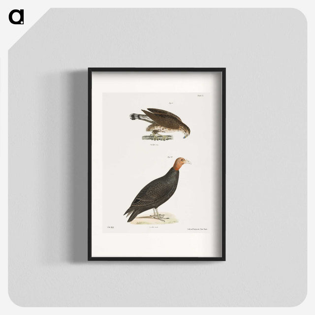 2-69_Zoology-of-New-York_blk