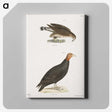 2-69_Zoology-of-New-York_canvas