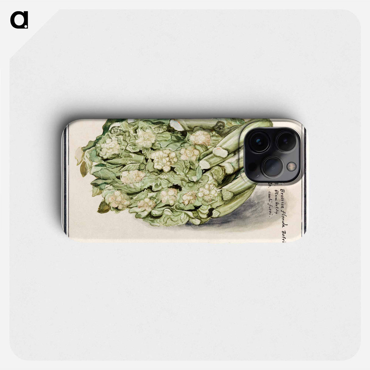 Cauliflower - アンセルムス ボエティウス デ ブート Phone Case.