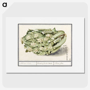 2-6_Anselmus-Boetius-de-Boodt_picture