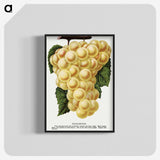 2-6_Botanical-Specimen-Plates_blk-crop