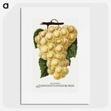 2-6_Botanical-Specimen-Plates_picture