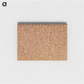 アートメモ帳-Decorative Paper from Histoire de la Belgique
 - 大英図書館 Memo.