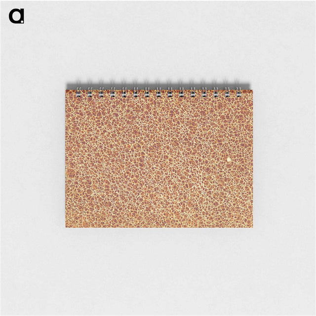 アートメモ帳-Decorative Paper from Histoire de la Belgique
 - 大英図書館 Memo.
