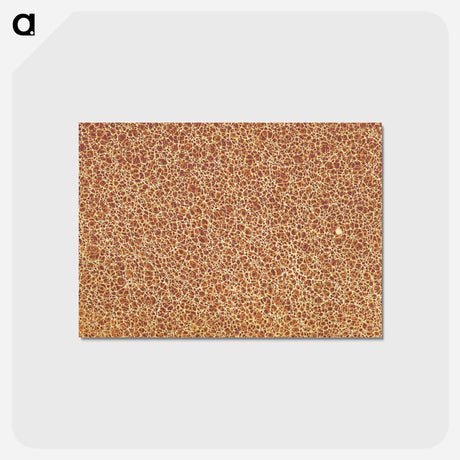 アートポストカード-Decorative Paper from Histoire de la Belgique
 - 大英図書館 Postcard.