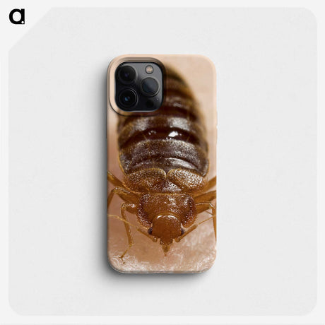2-6_COVID-19_phone