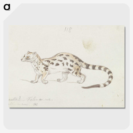 2-6_Charles-Hamilton-Smith_picture-crop