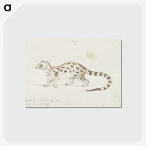 2-6_Charles-Hamilton-Smith_postcard