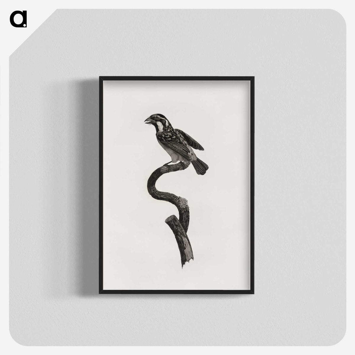 2-6_Des-Oiseaux-de-Paradis_blk-crop