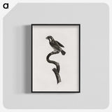 2-6_Des-Oiseaux-de-Paradis_blk-crop