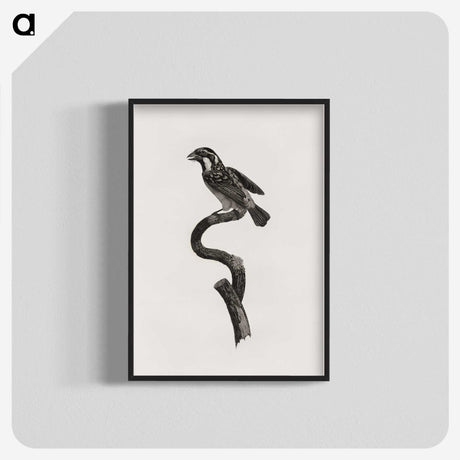 2-6_Des-Oiseaux-de-Paradis_blk-crop