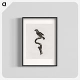 2-6_Des-Oiseaux-de-Paradis_blk