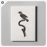 2-6_Des-Oiseaux-de-Paradis_canvas