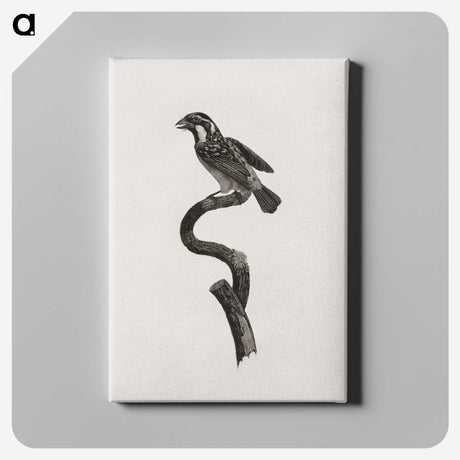 2-6_Des-Oiseaux-de-Paradis_canvas
