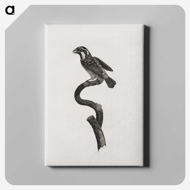2-6_Des-Oiseaux-de-Paradis_canvas