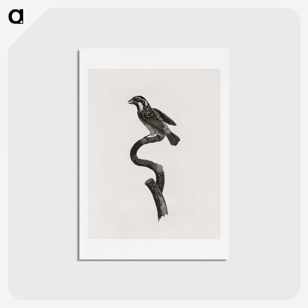 2-6_Des-Oiseaux-de-Paradis_hagaki