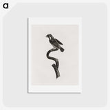 2-6_Des-Oiseaux-de-Paradis_hagaki