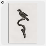 2-6_Des-Oiseaux-de-Paradis_picture-crop