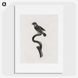 2-6_Des-Oiseaux-de-Paradis_picture