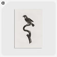 2-6_Des-Oiseaux-de-Paradis_postcard