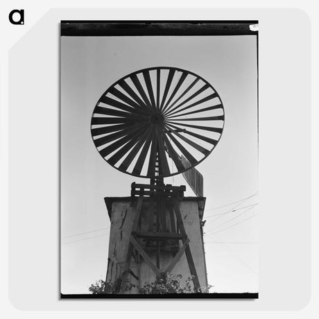 2-6_Dorothea-Lange_picture-crop