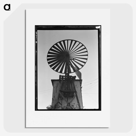2-6_Dorothea-Lange_picture