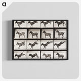 2-6_Eadweard-Muybridge_blk-crop