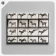 2-6_Eadweard-Muybridge_canvas