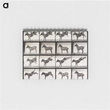 2-6_Eadweard-Muybridge_memo