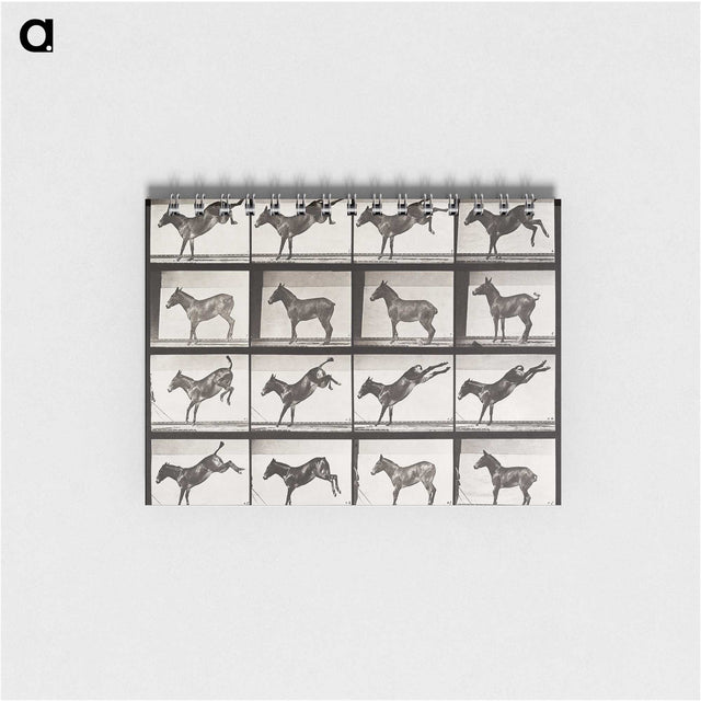 2-6_Eadweard-Muybridge_memo