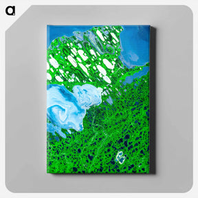 アートパネル-Teshekpuk Lake, National Petroleum Reserve, Alaska
 - 上空からの地球 Canvas.