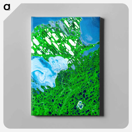 アートパネル-Teshekpuk Lake, National Petroleum Reserve, Alaska
 - 上空からの地球 Canvas.