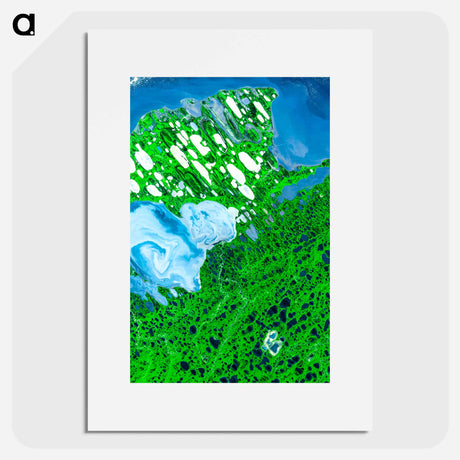 アートポスター-Teshekpuk Lake, National Petroleum Reserve, Alaska
 - 上空からの地球 Poster.