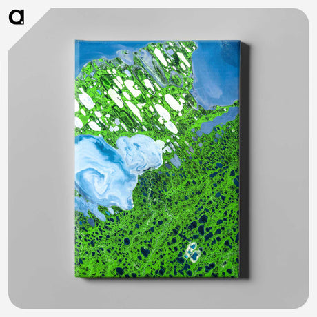 2-6_Earth-from-Above_canvas