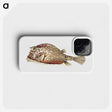 2-6_Ernst-Haeckel_phone