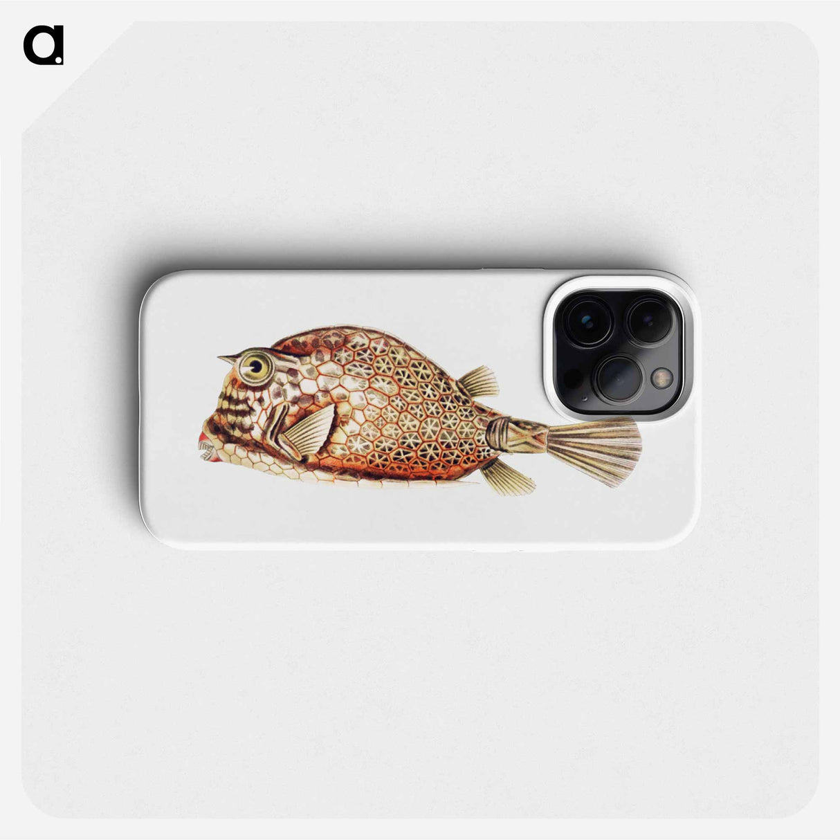 Vintage fish illustration on white background - エルンスト ヘッケル Phone Case.