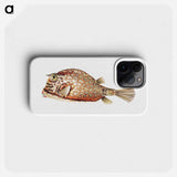 Vintage fish illustration on white background - エルンスト ヘッケル Phone Case.