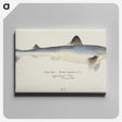 2-6_Frank-Edward-Clarke_canvas