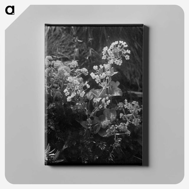 2-6_Frederick-Charles-Brockett_canvas