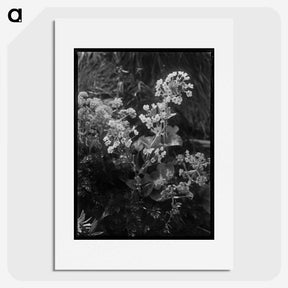 2-6_Frederick-Charles-Brockett_picture