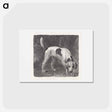 アートポストカード-Dog: A Foxhound on the Scent
 - ジョージ スタッブス Postcard.
