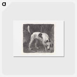アートポストカード-Dog: A Foxhound on the Scent
 - ジョージ スタッブス Postcard.