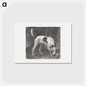アートポストカード-Dog: A Foxhound on the Scent
 - ジョージ スタッブス Postcard.
