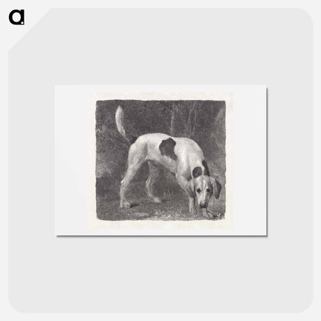 アートポストカード-Dog: A Foxhound on the Scent
 - ジョージ スタッブス Postcard.