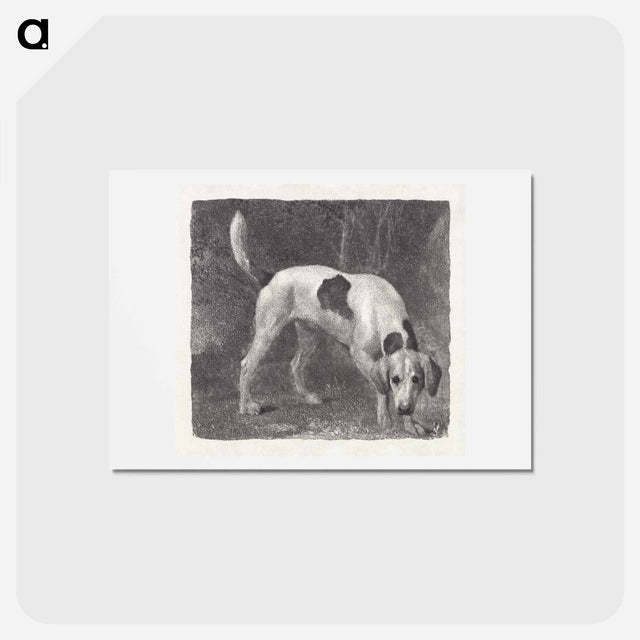 アートポストカード-Dog: A Foxhound on the Scent
 - ジョージ スタッブス Postcard.