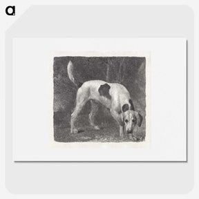 2-6_George-Stubbs_picture