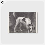 アートポストカード-Dog: A Foxhound on the Scent
 - ジョージ スタッブス Postcard.