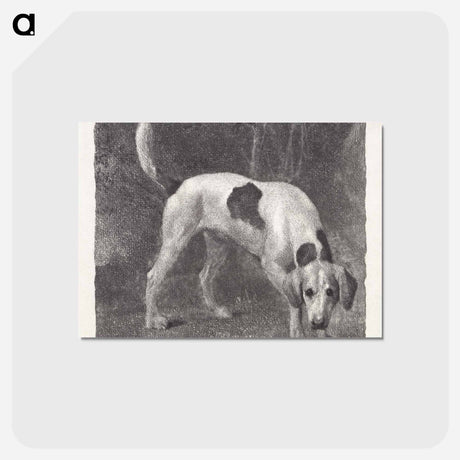 アートポストカード-Dog: A Foxhound on the Scent
 - ジョージ スタッブス Postcard.