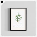 2-6_Histoire-des-Plantes-Grasses_blk