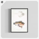 2-6_Indian-Zoology_blk-crop
